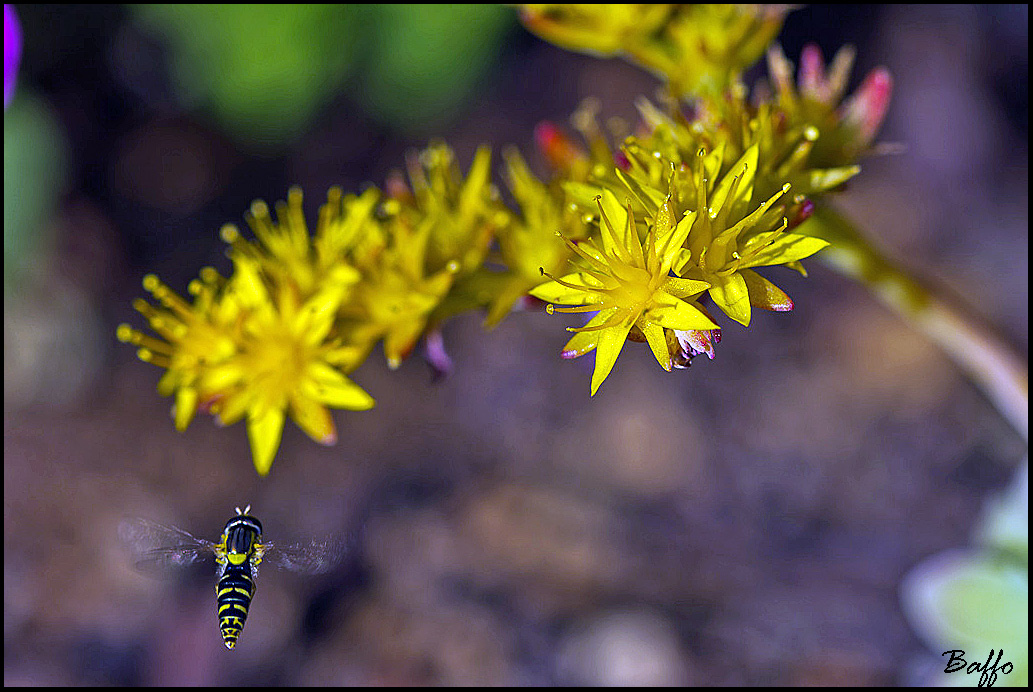 Uscite con i primi raggi di sole